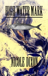Cover for High-Water Mark