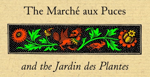 The Marche aux Puces and the Jardin des Plantes
