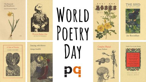 World Poetry  Day