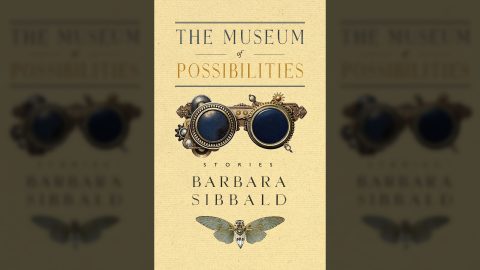 The Museum of Possibilities