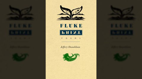 Fluke Print cover