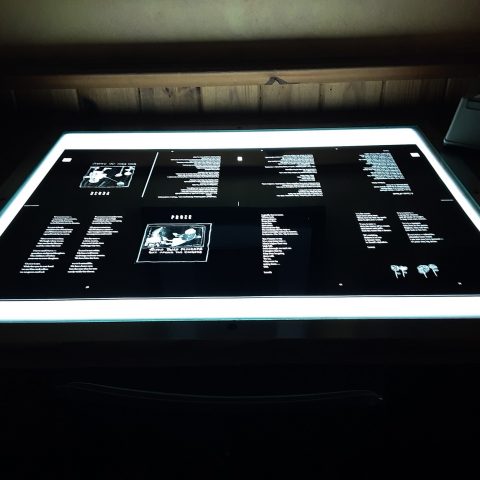 Sheet of Metamorphosis film on light box.
