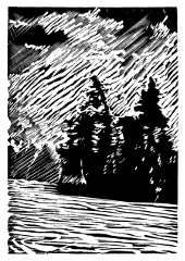 Engraving based on a detail from Thomson's painting Black Spruce in Autumn