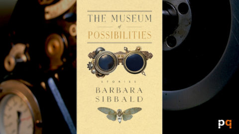 The Museum of Possibilities cover