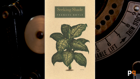 Seeking Shade by Frances Boyle