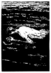 engraving of Thomson's floating body